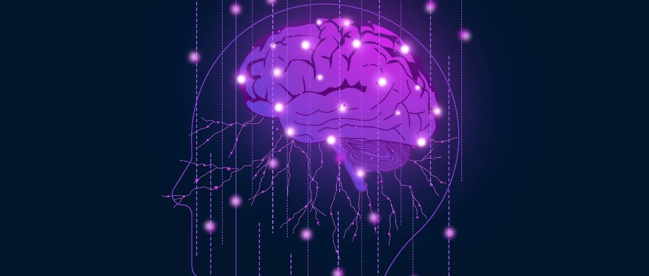 Stroke多中心研究：卒中后认知功能障碍为何有性别差异？