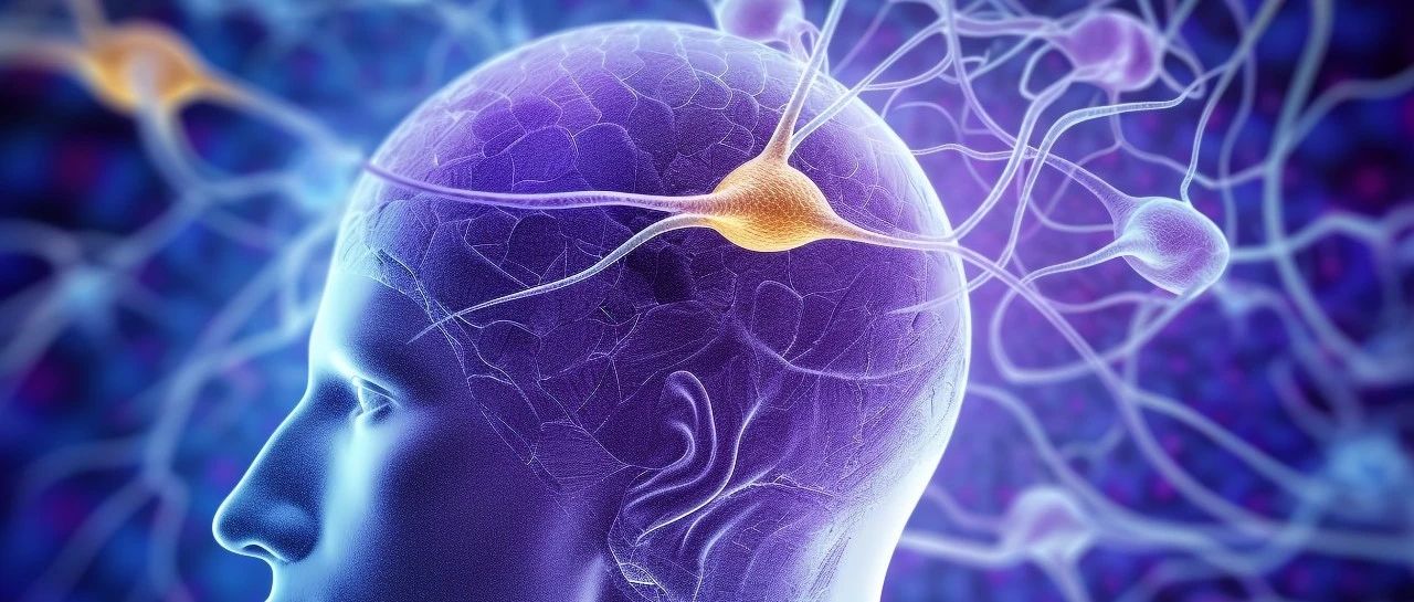 AHA科学声明：成人颈动脉夹层的治疗和结局