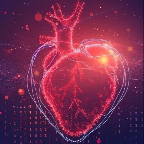 一颗创新药的破局之旅——梗阻性肥厚型心肌病患者的“心”曙光